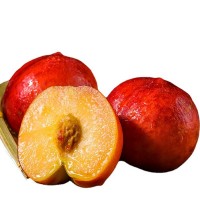 红油桃平谷油桃 新鲜水果现摘脆甜应季5斤礼盒装清甜果大黄油桃