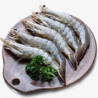 白虾净重3.3斤厄瓜多尔大虾批发海洋虾家用海水虾蓝冠白熊 食用虾
