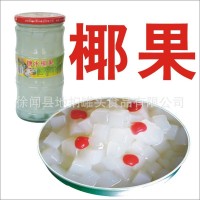 堂冠椰果罐头668克 糖水芦荟 热带杂果 玻璃瓶装 奶茶甜品 烘焙料